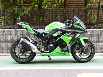 NINJA250 フェンダーレスキット】